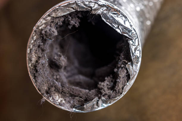 Best Air Duct Cleaning Company Near Me  in Finley, WA
