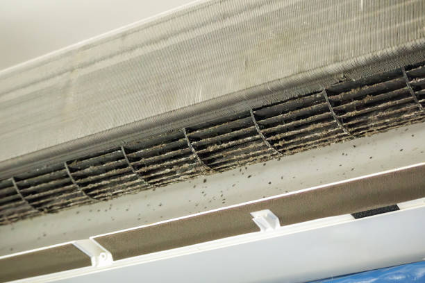 Best Air Duct Inspection  in Finley, WA