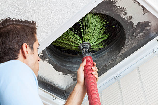 Best Air Duct Mold Removal  in Finley, WA